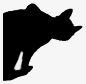 #blackcat #halloween #silhouette #cat - Black Cat, HD Png Download, Transparent PNG