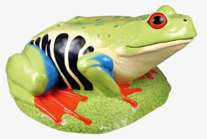 Transparent Tree Frog Png - Лягушка Gif Png, Png Download, Transparent PNG