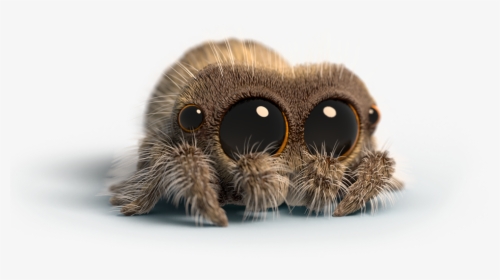 Lucas The Spider Peluche, HD Png Download, Transparent PNG