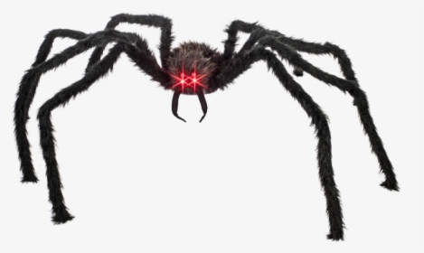 Black Spider Red Eyes, HD Png Download, Transparent PNG