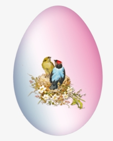 Egg, HD Png Download, Transparent PNG