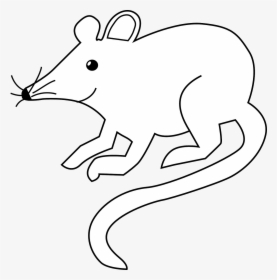 Rat Black And White, HD Png Download, Transparent PNG