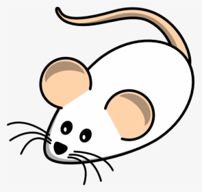 Field Mouse White Clip Art - Clipart Mouse, HD Png Download, Transparent PNG