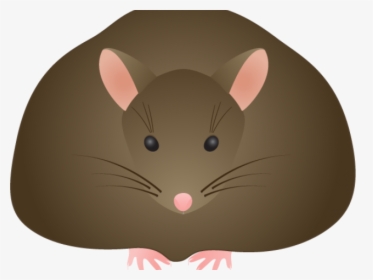 Rat Clipart Field Mouse - Cartoon, HD Png Download, Transparent PNG