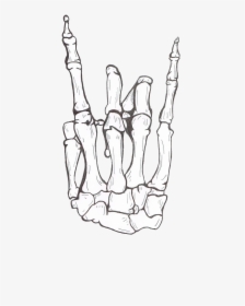 Skeleton Rock And Roll Hand, HD Png Download, Transparent PNG