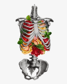 Transparent Inner Beauty - Skeleton Chest With Flowers, HD Png Download, Transparent PNG