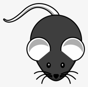 Mouse, Black, Mammal, Rodent, Whiskers, Ears, Tail - Mouse Clip Art, HD Png Download, Transparent PNG