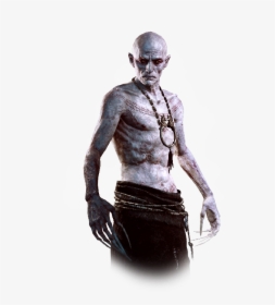 Witcher Transparent Background Png - Witcher Transparent, Png Download, Transparent PNG
