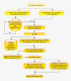 Ca Course Flowchart - Become A Chartered Accountant, HD Png Download, Transparent PNG