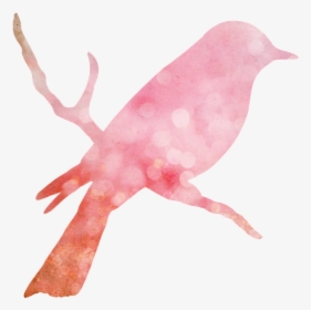 Bird, Animals, Nest, Elements, Scrap, Pink, Vintage - Bird Shape, HD Png Download, Transparent PNG