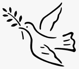 Vector Illustration Of Dove Bird With Olive Branch - Dove Png Peace Vector, Transparent Png, Transparent PNG