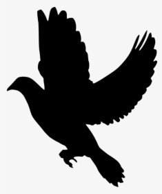 Silhouette, Peace, Dove, Flying, Olive, Branch, Symbol - Black Dove, HD Png Download, Transparent PNG
