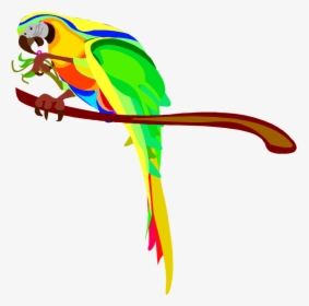 Transparent Eating Clipart - Australian Parrots Clipart, HD Png Download, Transparent PNG