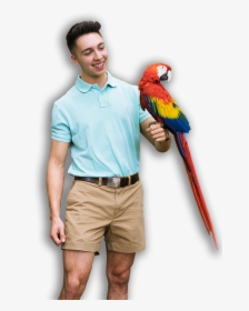 Boy With Parrot, HD Png Download, Transparent PNG