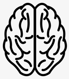 Brain Upper View Outline - Brain Outline Png, Transparent Png, Transparent PNG