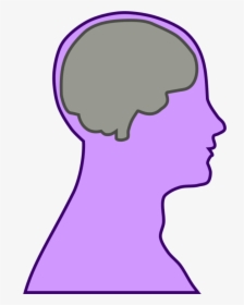 Transparent Brain Vector Png - Head Outline With Brain, Png Download, Transparent PNG
