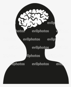 Brain Drawing Vector And Stock Photo - Illustration, HD Png Download, Transparent PNG