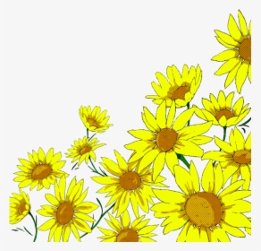 Sunflower Watercolor Png Banner Black And White - Transparent Background Sunflower Clipart, Png Download, Transparent PNG