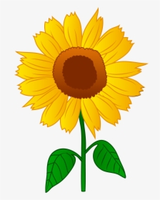 Sunflower Best Clipart Transparent Png - Transparent Background Sunflower Clip Art, Png Download, Transparent PNG