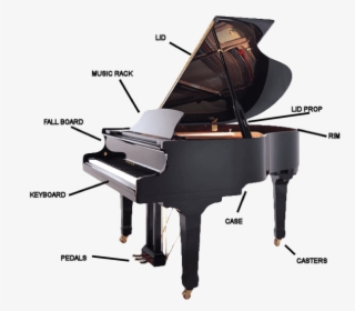Piano Hailun, HD Png Download, Transparent PNG