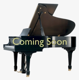 Pianos For Sale Twin Cities - Grand Piano Platinum, HD Png Download, Transparent PNG