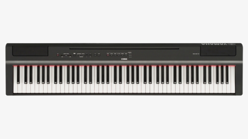 Yamaha P 125 Digital Piano 88 Key      Data Rimg Lazy - Yamaha P 125 Digitale Piano, HD Png Download, Transparent PNG