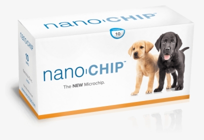 Nano Microchip, HD Png Download, Transparent PNG