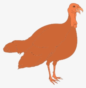 Thanksgiving, Turkey, Bird, Wings, Animal, Feathers - Turkey Clipart, HD Png Download, Transparent PNG