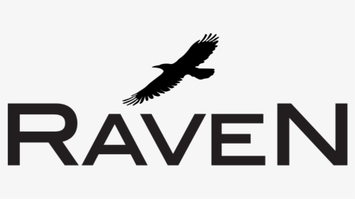 Raven Is A Flexible And Multi-purpose Uncertainty Quantification, - Bird Wings, HD Png Download, Transparent PNG