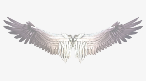 Buffalo Wing Castiel Bird - Purple And Black Wings, HD Png Download, Transparent PNG
