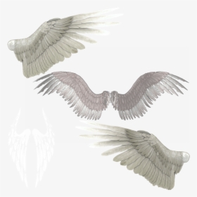 Transparent Devil Wings Png - Transparent Wings Png, Png Download, Transparent PNG