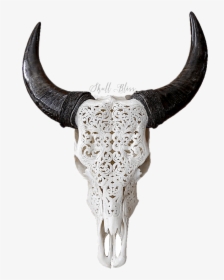 Texas Longhorn English Longhorn Skull Goat - Carved Cow Skull, HD Png Download, Transparent PNG