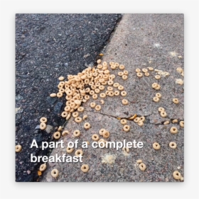 Cheerios Png, Transparent Png, Transparent PNG