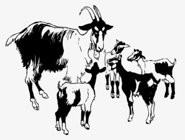 Goat Essay In English, HD Png Download, Transparent PNG