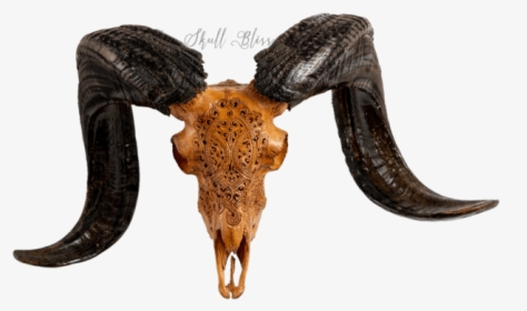Carved Ram Skull - Horn, HD Png Download, Transparent PNG