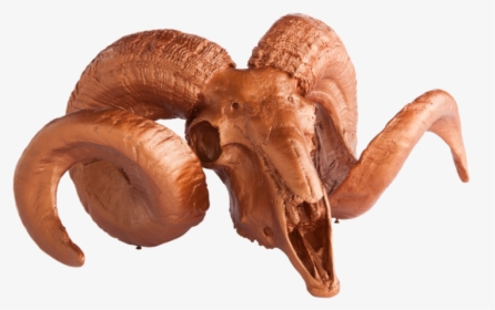 Gold Leaf Resin Ram Skull With Horns On Medallion - Baked Goods, HD Png Download, Transparent PNG