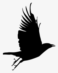 Png Flying Crow Gif, Transparent Png, Transparent PNG