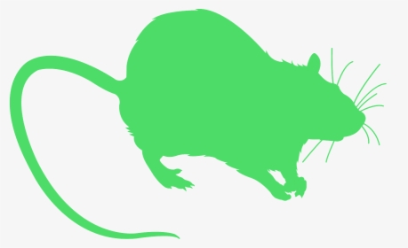 Mice Simple, HD Png Download, Transparent PNG