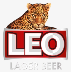 Leo Beer Logo Vector, HD Png Download, Transparent PNG