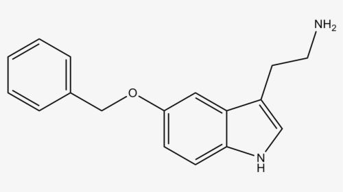 Tattoo Molecule Serotonin Chemical Chemistry Structure Chemical