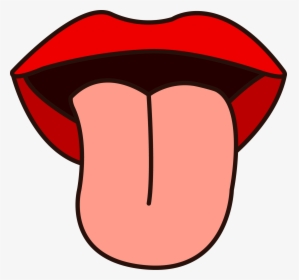 28 Collection Of Tongue Clipart Transparent - Clipart Images Of Tongue, HD Png Download, Transparent PNG