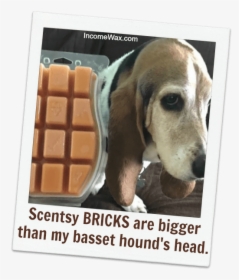 How Many Bars In A Scentsy Brick - Groundswell, HD Png Download, Transparent PNG