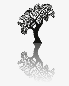 Transparent Tree Shadow Png - Black Shadow Tree, Png Download, Transparent PNG