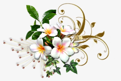 #mq #white #gold #flowers #flower #garden - Gold And White Flowers Png, Transparent Png, Transparent PNG