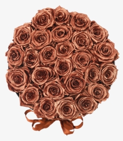 Rose Gold   Class Lazyload Lazyload Fade In Cloudzoom - Garden Roses, HD Png Download, Transparent PNG