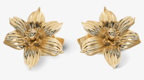 Yellow Gold Bermudiana Flower Earrings - Earrings, HD Png Download, Transparent PNG