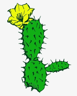 Cactus, Flower, Desert, Plant, Succulent, Cacti - Cactus, HD Png Download, Transparent PNG