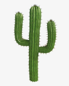 #cactus #plants #desert @freetoedit - Bnha Memes, HD Png Download, Transparent PNG