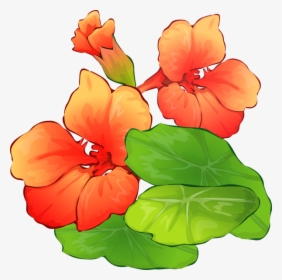 Summer Flowers Clipart - Free Summer Flower Clipart, HD Png Download, Transparent PNG