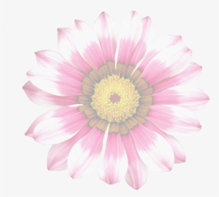 Flower Translucent, HD Png Download, Transparent PNG